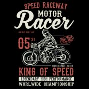 Motor Racer2